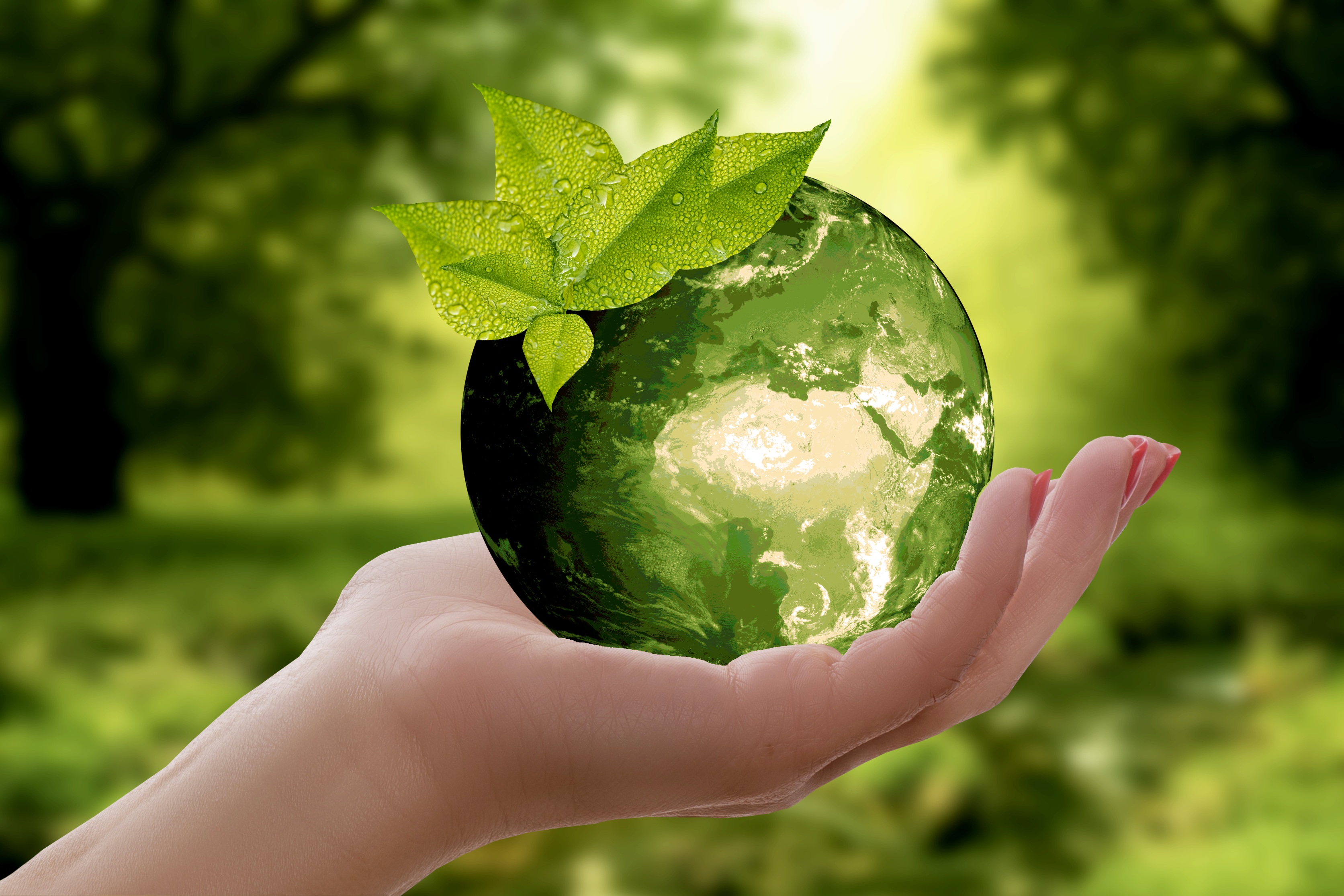 Projekt CLAIRO pomáhá zlepšit životní prostředí. Ilustrační obrázek: PixaBay.