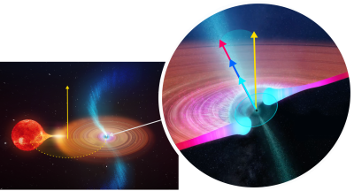 Výzkum Zuzany Turoňové je zaměřen na rozdíl směrů orientace osy rotace černé díry (tmavě modrá šipka) a rotační osy binárního systému (žlutá šipka), jehož jednou složkou je černá díra a druhou méně hmotná hvězda.