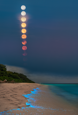 Měsíc v odzemí 6. února 2023 zapadá nad Maledivami. Foto: Petr Horálek/Fyzikální ústav v Opavě.
