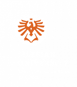 Logo Fyzikálního ústavu v Opavě - anglicky