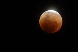 Zatmění Měsíce 16. května 2022. Foto: J. Kujal/ASHK. Zatmění Měsíce 16. května 2022. Foto: J. Kujal/ASHK.