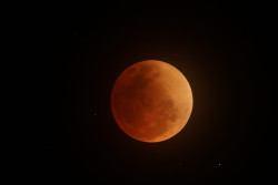 Zatmění Měsíce 16. května 2022. Foto: J. Kujal/ASHK. Zatmění Měsíce 16. května 2022. Foto: J. Kujal/ASHK.