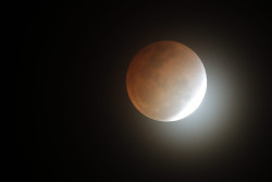 Zatmění Měsíce 16. května 2022. Foto: J. Kujal/ASHK. Zatmění Měsíce 16. května 2022. Foto: J. Kujal/ASHK.