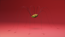 Z pořadu Wannabe Spider. Foto: FÚ v Opavě. Z pořadu Wannabe Spider. Foto: FÚ v Opavě.
