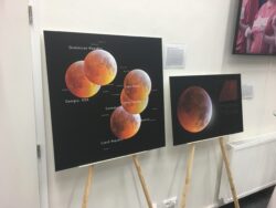 Výstava Třicetkrát v NASA ve foyer Unisféry. Foto: FÚ v Opavě. Výstava Třicetkrát v NASA ve foyer Unisféry. Foto: FÚ v Opavě.