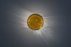 Kombinace záběru Slunce v extrémní ultrafialové oblasti v kameře AIA 171 družice Solar Dynamic Observatory a sluneční koróny zachycené během úplného zatmění Slunce 4. prosince 2021 z paluby letadla. Foto: SDO/AIA/NASA, P. Horálek/FÚ v Opavě. Kombinace záběru Slunce v extrémní ultrafialové oblasti v kameře AIA 171 družice Solar Dynamic Observatory a sluneční koróny zachycené během úplného zatmění Slunce 4. prosince 2021 z paluby letadla. Foto: SDO/AIA/NASA, P. Horálek/FÚ v Opavě.