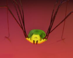 Z pořadu Wannabe Spider. Foto: FÚ v Opavě. Z pořadu Wannabe Spider. Foto: FÚ v Opavě.