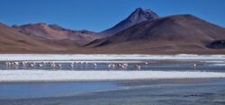 Z expedice do Chile (nejen) za zatměním Měsíce 16. května 2022. Foto: Petr Horálek/FÚ v Opavě. Z expedice do Chile (nejen) za zatměním Měsíce 16. května 2022. Foto: Petr Horálek/FÚ v Opavě.