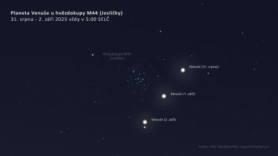 Přechod planety Venuše okolo hvězdokupy M44 (Jesličky) v souhvězdí Raka mezi 31. srpnem a 2. zářím 2025. Úkaz bude pozorovatelný v časných ranních hodinách. Zdroj: Petr Horálek/Fyzikální ústav v Opavě/Stellarium.